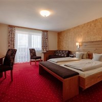 Hotel Waldfrieden (S) - ckmarcopolo.cz