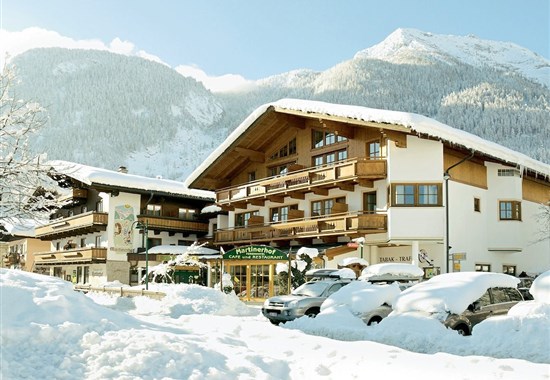 Ferienhotel Martinerhof (W) - Evropa