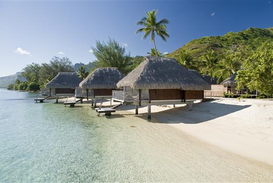 Marco Polo - Hilton Moorea Lagoon Resort & Spa - ostrov Moorea - 