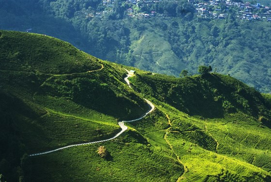 Od čajových plantáží Darjeelingu k himálajským klášterům Bhútánu - Derjeeling, Zájezd CK Marco Polo - Od čajových plantáží k himálajským klášterům