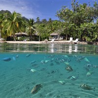 InterContinental Resort And Spa Moorea - ostrov Moorea - ckmarcopolo.cz