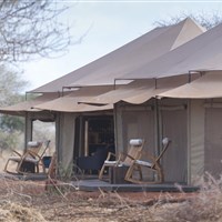 Nyikani Tarangire Kemp (4*) - Tanzanie_Tarangire_Nyikani Tarangire Camp - ckmarcopolo.cz