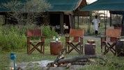 Nyikani Migration Camp South Serengeti (Ndutu) (4*plus) - Tanzanie_Serengeti_Nyikani Migration Camp South Serengeti