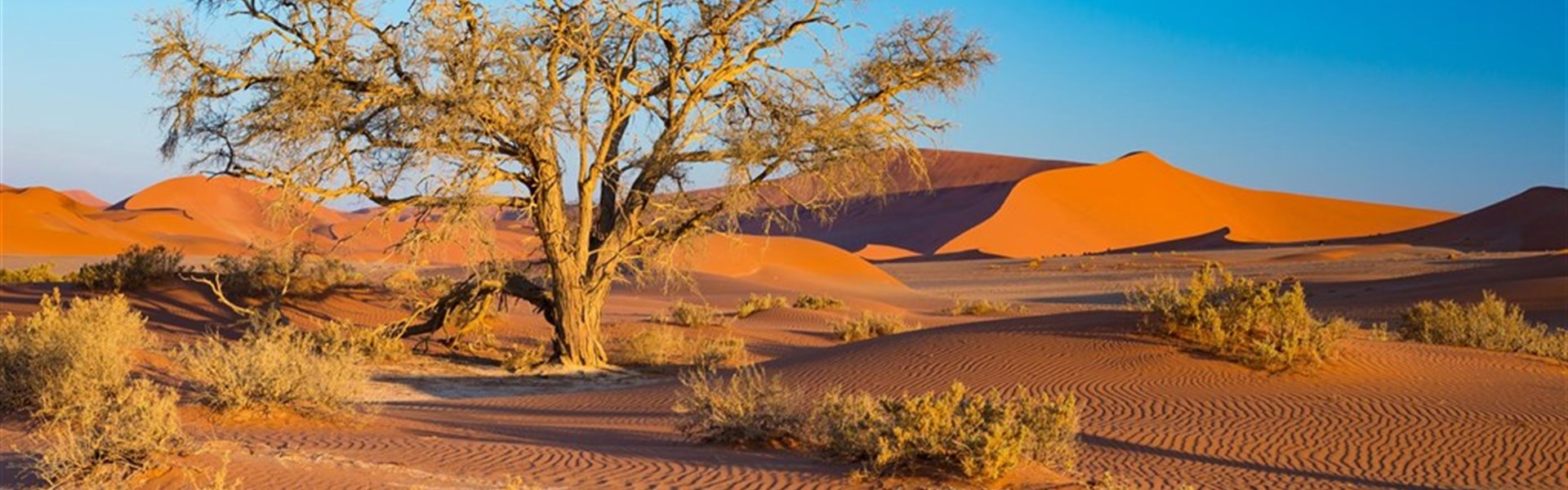 Objevujeme Namibii & safari v NP Etosha - 