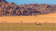 Objevujeme Namibii & safari v NP Etosha
