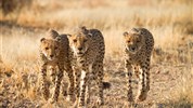 Objevujeme Namibii & safari v NP Etosha