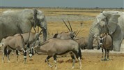 Objevujeme Namibii & safari v NP Etosha