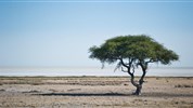 Objevujeme Namibii & safari v NP Etosha