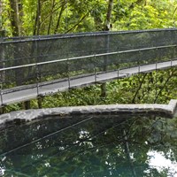 Boena Pacuare Lodge - ckmarcopolo.cz