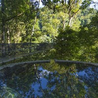Boena Pacuare Lodge - ckmarcopolo.cz
