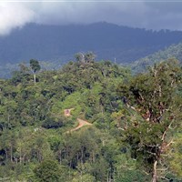 Boena Pacuare Lodge - ckmarcopolo.cz