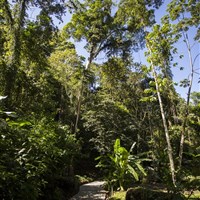 Boena Pacuare Lodge - ckmarcopolo.cz