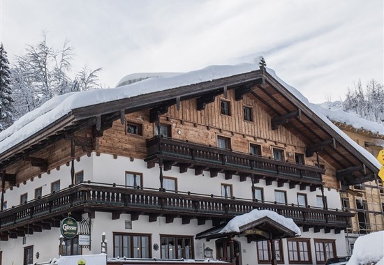 Hotel Friedlwirt (W) - Salcbursko