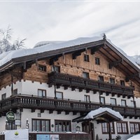 Hotel Friedlwirt (W) - ckmarcopolo.cz