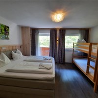 Hotel Friedlwirt (S) - ckmarcopolo.cz