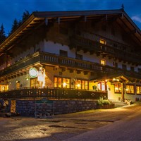 Hotel Friedlwirt (W) - ckmarcopolo.cz
