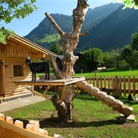 Hotel Auhof (S) - ckmarcopolo.cz