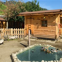 Hotel Auhof (S) - ckmarcopolo.cz