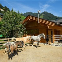 Hotel Auhof (S) - ckmarcopolo.cz