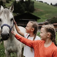 Hotel Auhof (S) - ckmarcopolo.cz