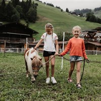Hotel Auhof (S) - ckmarcopolo.cz