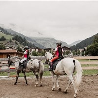Hotel Auhof (S) - ckmarcopolo.cz