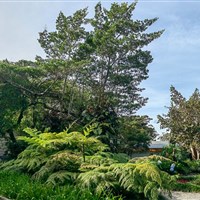 Boena Monteverde Lodge - ckmarcopolo.cz