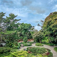 Boena Monteverde Lodge - ckmarcopolo.cz