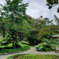 Boena Monteverde Lodge - ckmarcopolo.cz