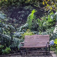 Boena Monteverde Lodge - ckmarcopolo.cz