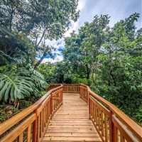 Boena Monteverde Lodge - ckmarcopolo.cz