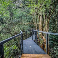 Boena Cloud Forest Lodge - ckmarcopolo.cz