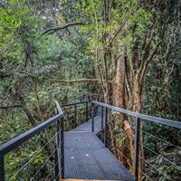 Boena Cloud Forest Lodge - ckmarcopolo.cz