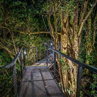 Boena Cloud Forest Lodge - ckmarcopolo.cz