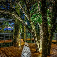 Boena Cloud Forest Lodge - ckmarcopolo.cz