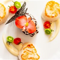 Hotel Villa del Sogno - ckmarcopolo.cz