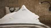 Aktiv & Vitalhotel Erica ****+