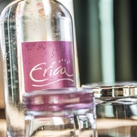 Aktiv & Vitalhotel Erica - ckmarcopolo.cz