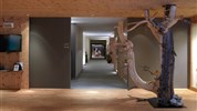 Arosea Life Balance Hotel *****