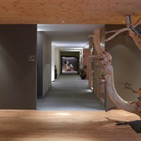 Arosea Life Balance Hotel - ckmarcopolo.cz