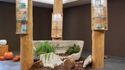 Arosea Life Balance Hotel *****