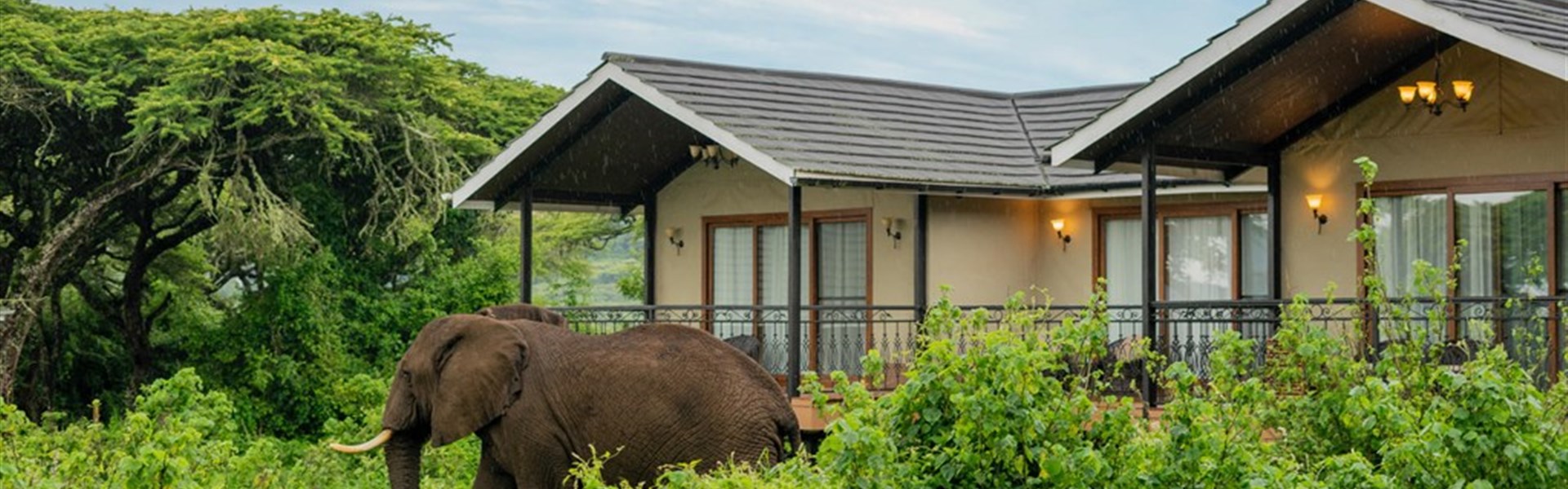 Lion´s Paw Ngorongoro 5* (by Karibu Camps) - Tanzanie_Ngorongoro_Lions Paw