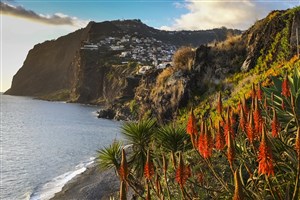  Madeira - 6