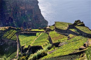  Madeira - 16