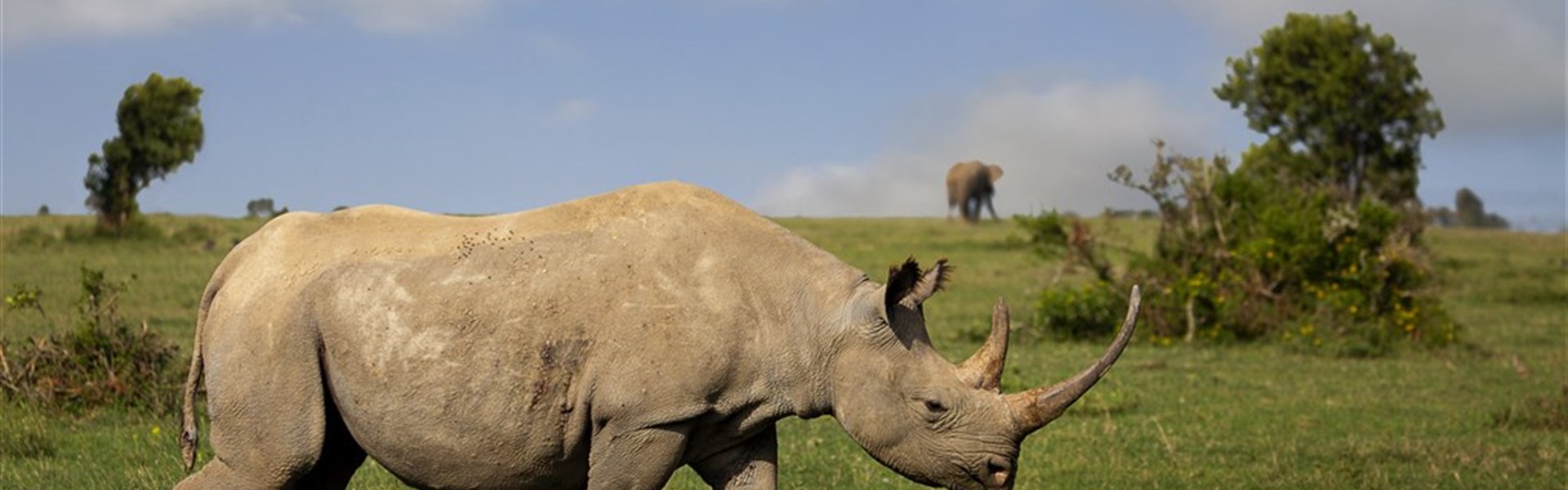 Netradiční cesta do Keni - safari, příroda, lidé - na sever od Nairobi - 