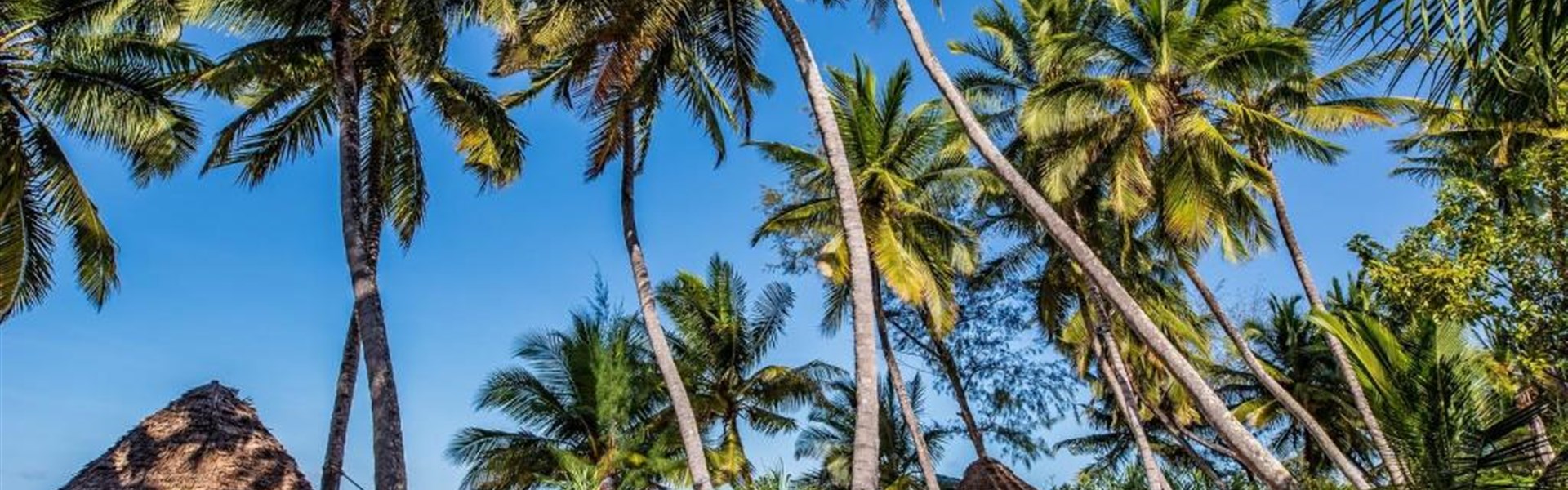 Marco Polo - Pongwe Beach Hotel 3*plus - Tanzanie_Zanzibar_Pongwe Beach Hotel