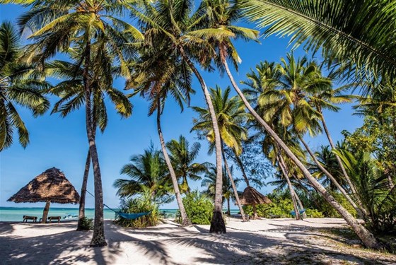 Marco Polo - Pongwe Beach Hotel 3*plus - Tanzanie_Zanzibar_Pongwe Beach Hotel