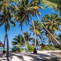 Pongwe Beach Hotel 3*plus - Tanzanie_Zanzibar_Pongwe Beach Hotel - ckmarcopolo.cz