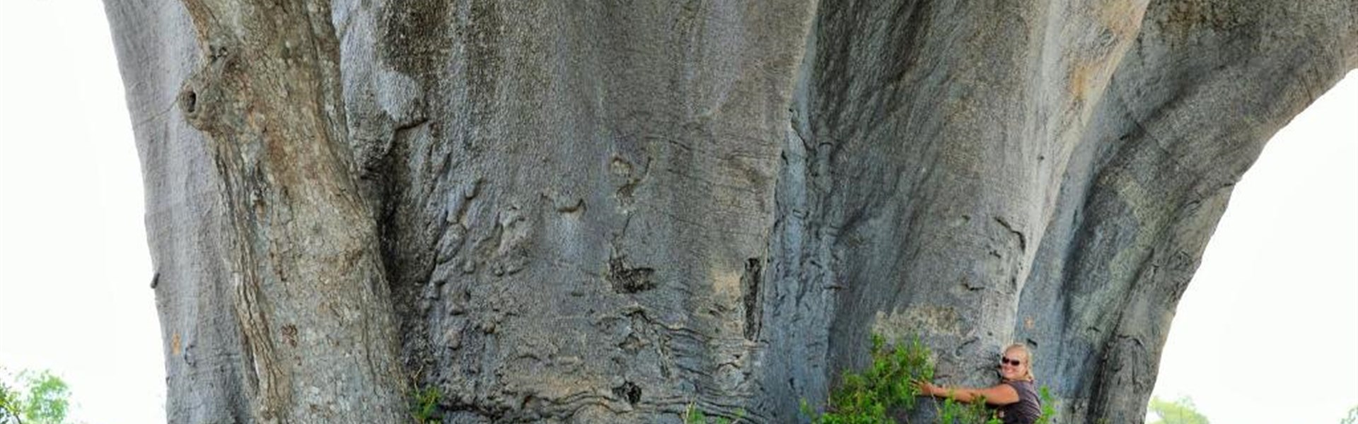 Selous - Nyerere - Tanzanie_Selous_AS Selous