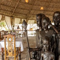 Africa Safari Selous Nyerere NP - 3*plus - Tanzanie_Selous_AS Selous_ - ckmarcopolo.cz